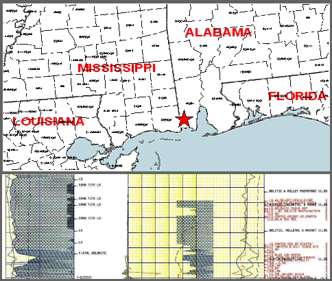 Mulivariate Lithology Log